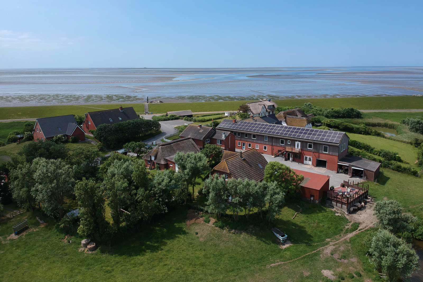 Luftaufnahme der Tammwarft 6 auf der Nordseeinsel Pellworm mit Reetdachhaus, Nebengebäuden, Deich und weitem Blick über das Wattenmeer, Nordfriesland