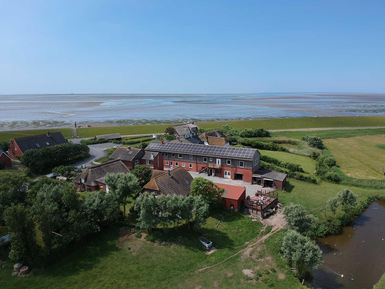 Luftaufnahme der Tammwarft auf der Nordseeinsel Pellworm – Ferienwohnungen Petersen mit Blick über Deich, Salzwiesen und Wattenmeer in Nordfriesland