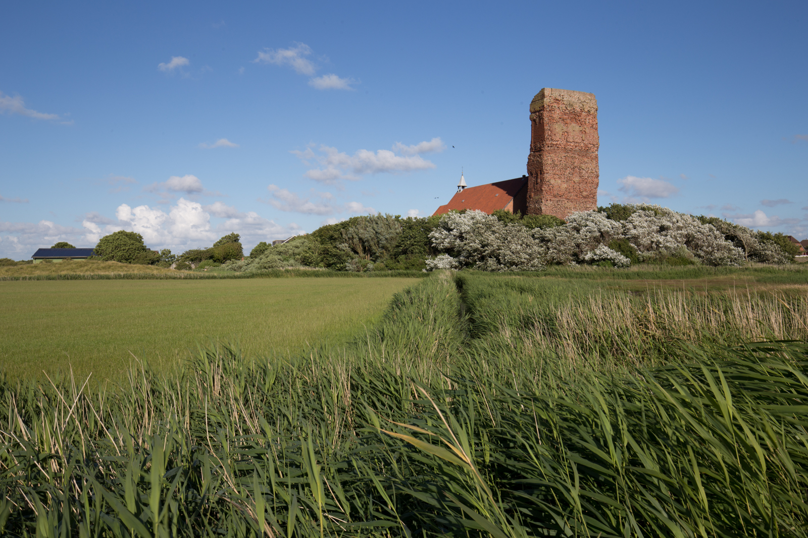Ausblick durch ein rundes Bullaugenfenster des Pellwormer Leuchtturms auf die grüne, weite Marschlandschaft der Nordseeinsel
