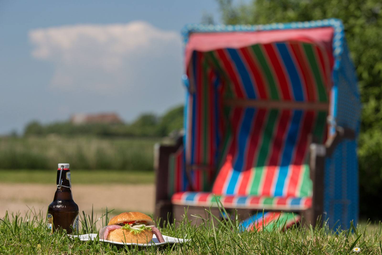 Bunter Strandkorb mit Matjesbrötchen und Flensburger Bier auf einer Wiese am Deich – kulinarische Pause auf Pellworm an der Nordsee