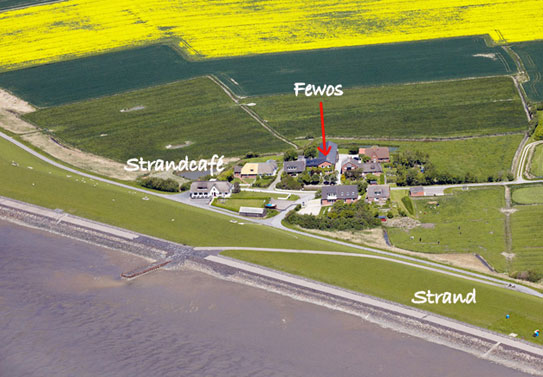 Luftaufnahme der Ferienwohnungen Tammwarft 6 auf der Nordseeinsel Pellworm in Nordfriesland – Warft direkt hinter dem Seedeich mit Blick auf Badestrand, Strandcafé und Wattenmeer