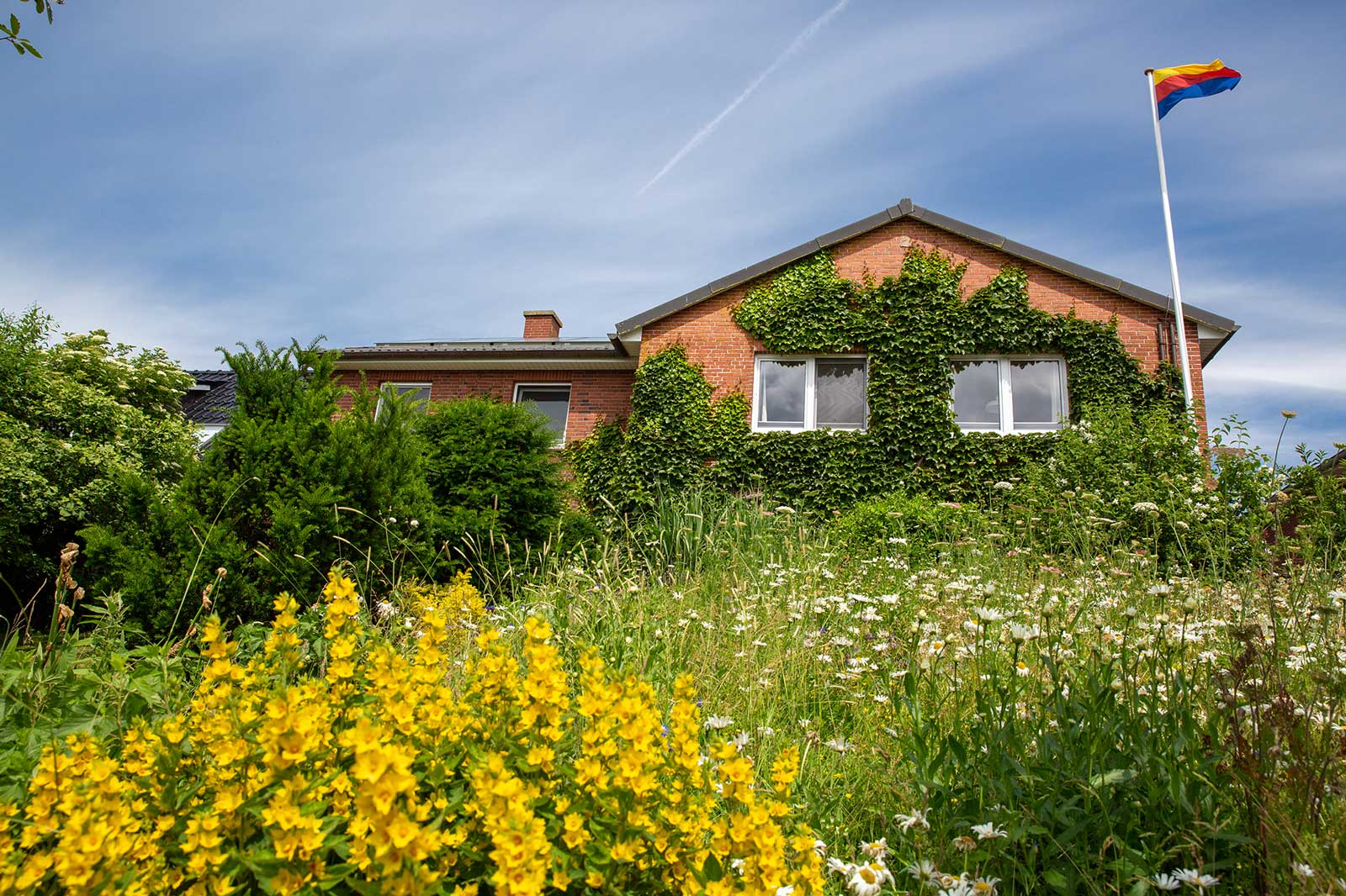 Backsteinhaus der Tammwarft auf Pellworm, umgeben von einer blühenden Wildblumenwiese mit wehender Fahne