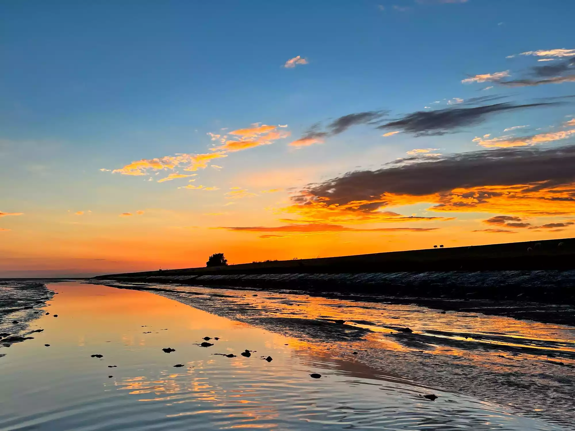 Sonnenuntergang über dem Watt am Leuchtturmstrand von Pellworm mit spiegelnden Prielen und weitem Nordseehimmel – Symbol für Ruhe und Entschleunigung im Nordseeurlaub