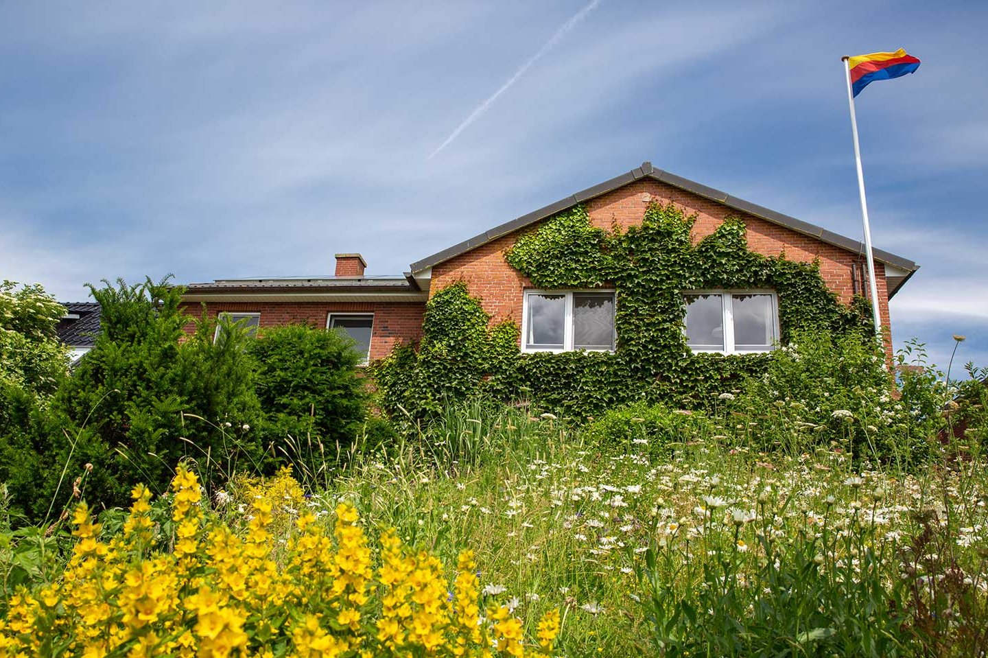 Efeubewachsenes Backsteinhaus der Tammwarft mit Blumenwiese und Nordfriesland-Flagge auf Pellworm